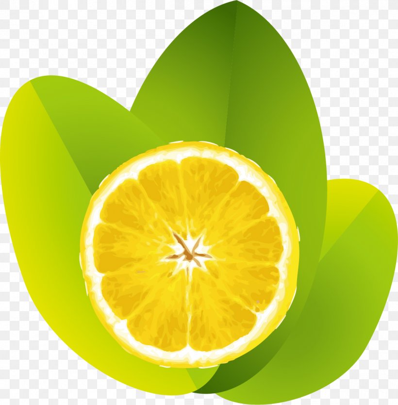 Lemon Juice Lime, PNG, 1199x1219px, Lemon, Bitter Orange, Citric Acid, Citron, Citrus Download Free