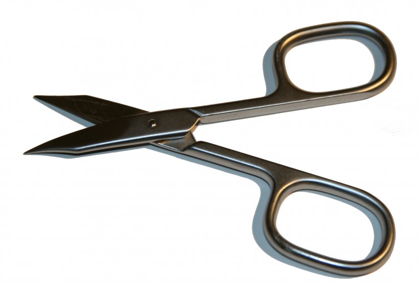 Special Agent Finnegan Scissors Nagelschere So Here We Are/Positive Tension, PNG, 2996x2110px, Scissors, Bloc Party, Fake News, Fake News Website, Hardware Download Free