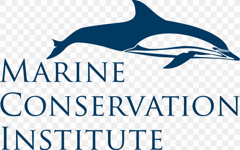 World Ocean Marine Conservation Institute Marine Protected Area, PNG, 2356x1476px, World Ocean, Beak, Brand, Common Bottlenose Dolphin, Conservation Download Free