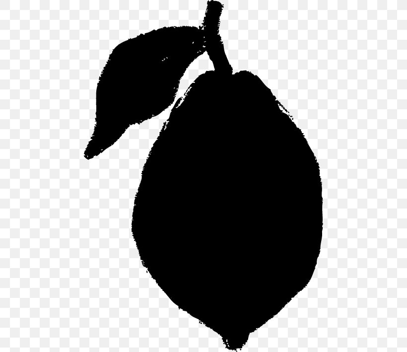Black And White Lemon, PNG, 482x709px, Black, Auglis, Black And White, Dog Like Mammal, Food Download Free