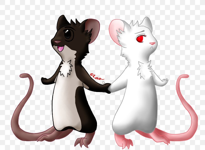 Mouse Rat Cat Cartoon, PNG, 800x600px, Mouse, Carnivoran, Cartoon, Cat, Cat Like Mammal Download Free