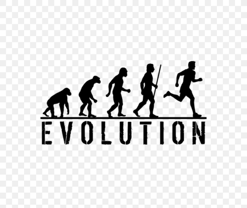 T-shirt Human Evolution Homo Sapiens Ape, PNG, 790x691px, Tshirt, Ape, Area, Brand, Clothing Download Free