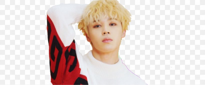 Blond BTS Hair Coloring Love Yourself: Her, PNG, 1588x661px, Watercolor, Cartoon, Flower, Frame, Heart Download Free