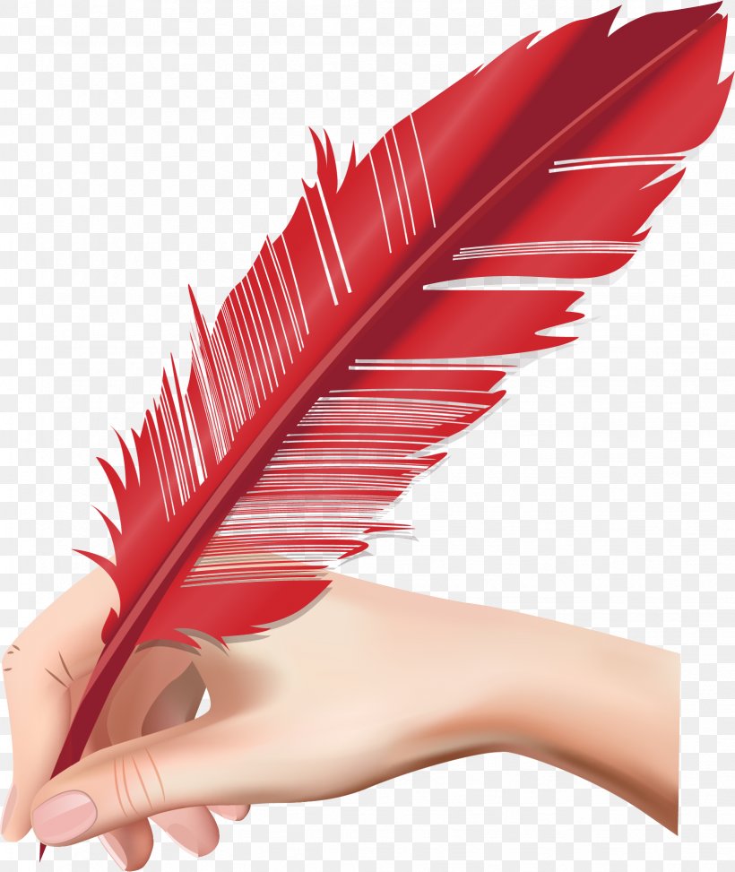 Quill Vector Graphics Clip Art Paper Pens, PNG, 1637x1943px, Quill, Ballpoint Pen, Calligraphy, Feather, Finger Download Free