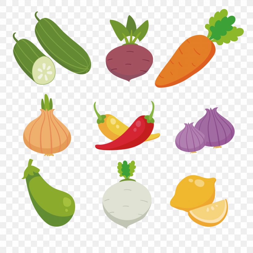 Radish, PNG, 1500x1500px, Radish, Carrot, Diet Food, Food, Fruit Download Free