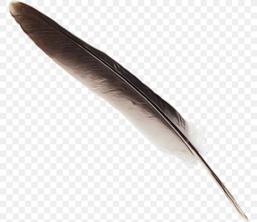 Writing Cartoon, PNG, 768x708px, Feather, Pen, Quill, Wing, Writing Implement Download Free