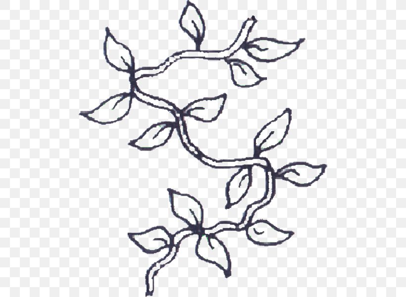 Coloring Book Vine Clip Art Drawing Image, PNG, 600x600px, Coloring Book, Adult, Antler, Area, Art Download Free