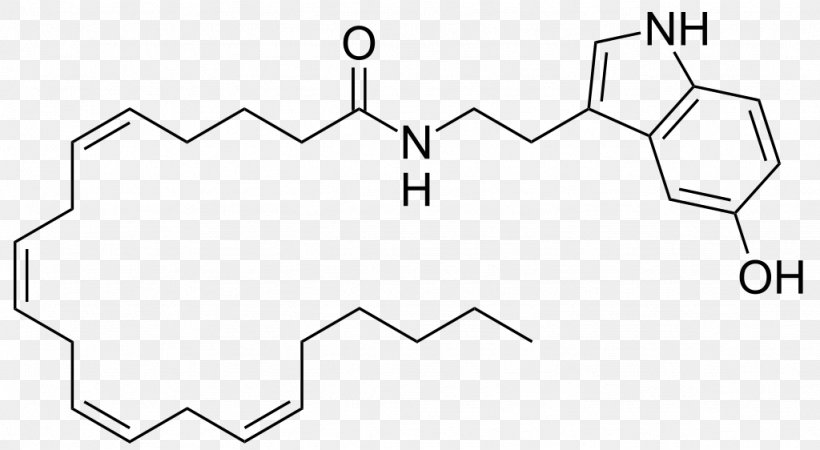 Arachidonoyl Serotonin Serotonin Transporter 5-HT Receptor Fatty Acid, PNG, 1024x562px, 5ht Receptor, Serotonin, Amino Acid, Area, Black And White Download Free