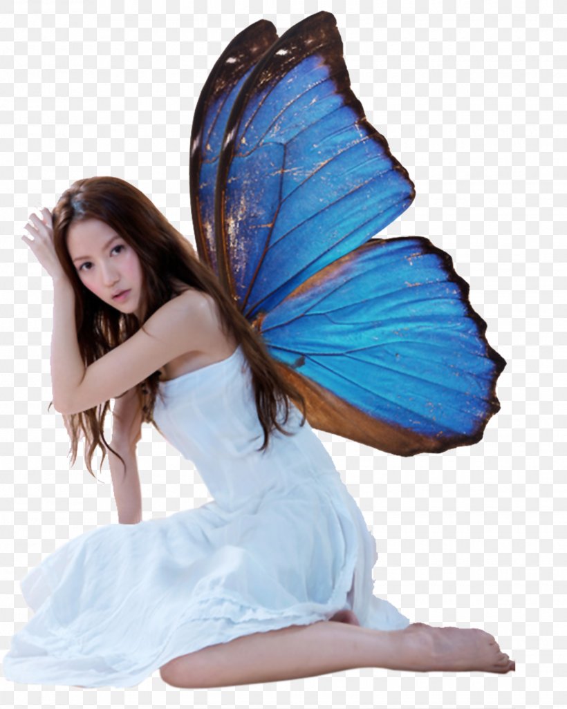 Butterfly Wing, PNG, 1550x1941px, Butterfly, Blue, Fairy, Moths And Butterflies, Phengaris Alcon Download Free