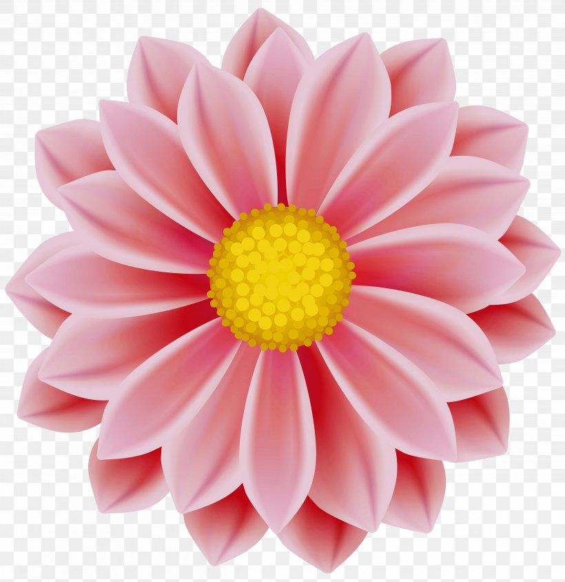 Clip Art Image Desktop Wallpaper Pink Flowers, PNG, 4857x5000px, Pink Flowers, Art, Art Museum, Chamomile, Chrysanths Download Free