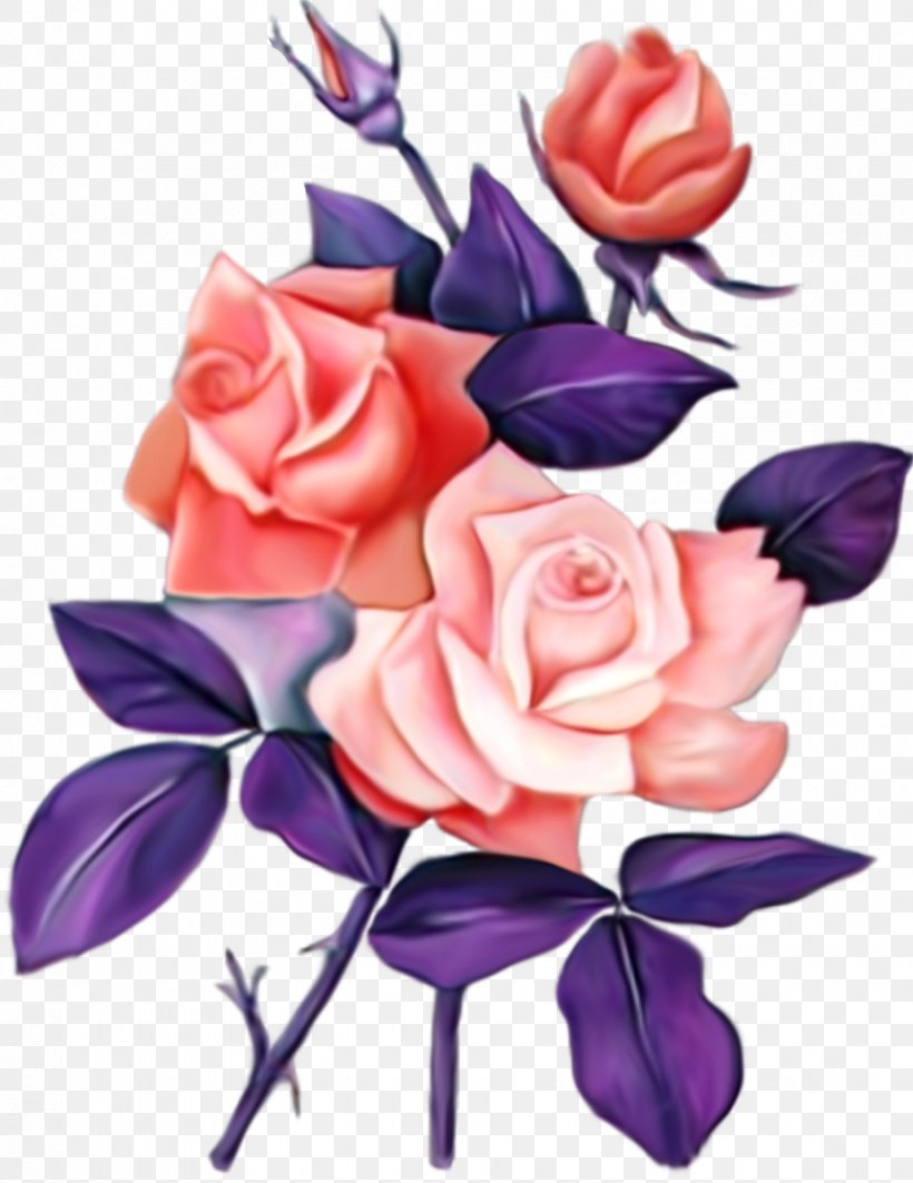 Garden Roses Paper Flower Floral Design Clip Art, PNG, 925x1200px, Garden Roses, Art, Cut Flowers, English Roses, Flora Download Free