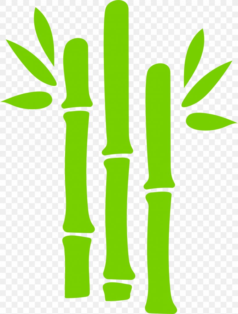 Green Bamboo Euclidean Vector, PNG, 1501x1981px, Green, Bamboo, Coreldraw, Drawing, Grass Download Free