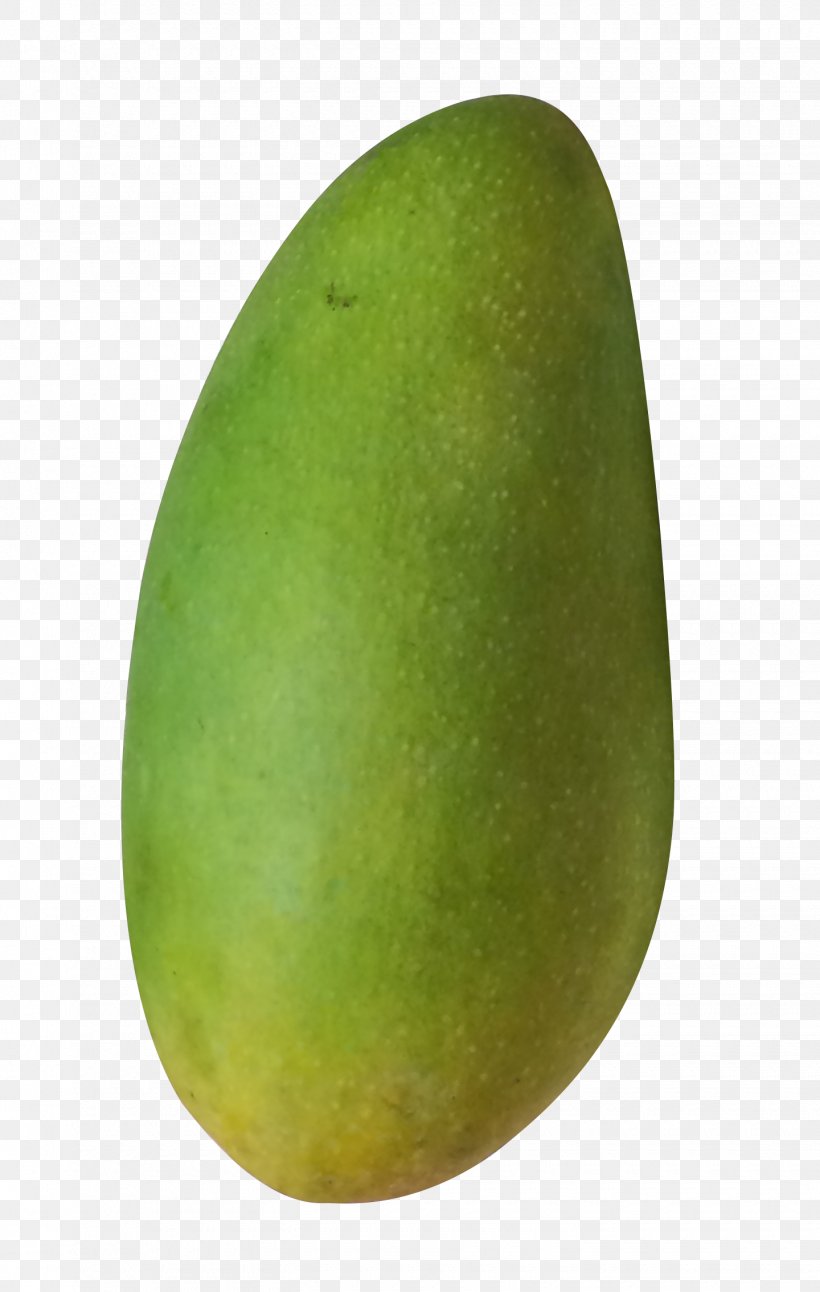 Mango Avocado, PNG, 1440x2269px, Mango, Avocado, Food, Fruit, Melon Download Free