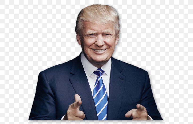 Presidency Of Donald Trump United States US Presidential Election 2016 Make America Great Again, PNG, 600x529px, Donald Trump, America First, Barack Obama, Business, Business Executive Download Free