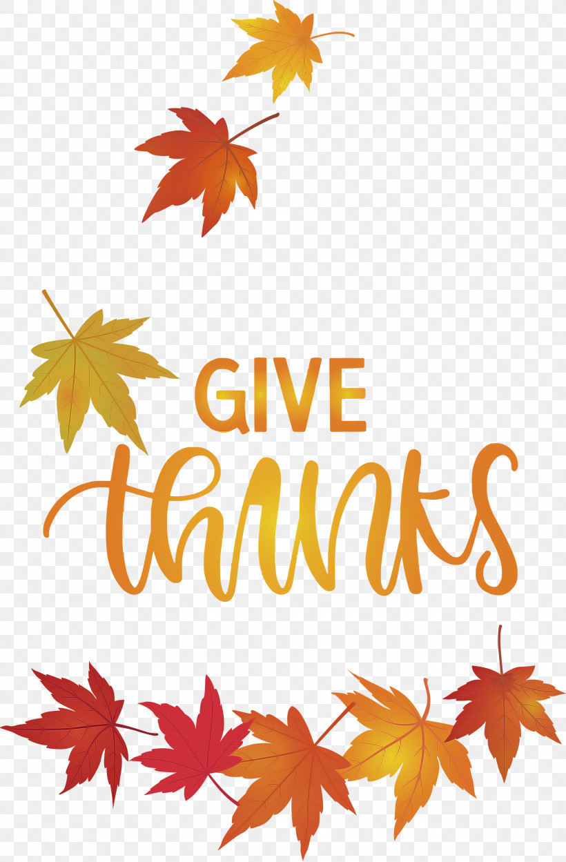 Thanksgiving Be Thankful Give Thanks, PNG, 1969x3000px, Thanksgiving, Be Thankful, Biology, Flower, Give Thanks Download Free