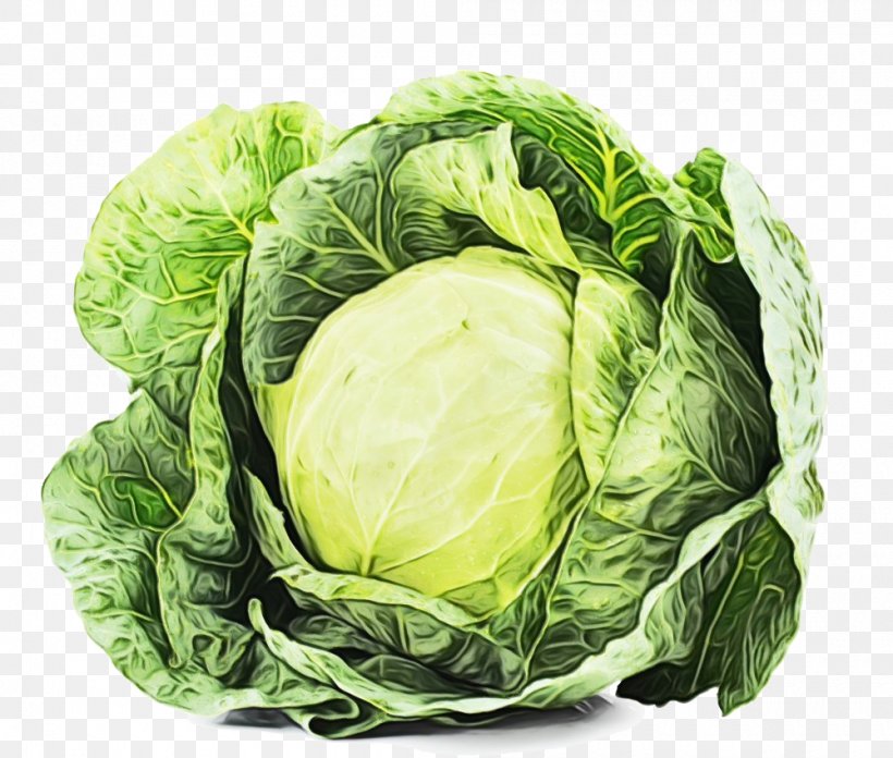 Cabbage Leaf Vegetable Vegetable Cruciferous Vegetables Iceburg Lettuce, PNG, 1000x849px, Watercolor, Cabbage, Cruciferous Vegetables, Food, Iceburg Lettuce Download Free