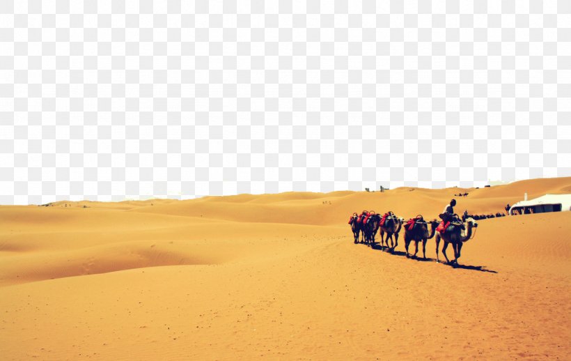 Camel Singing Sand Dune Stock Photography Ecoregion, PNG, 1024x647px, Camel, Aeolian Landform, Camel Like Mammal, Desert, Dune Download Free