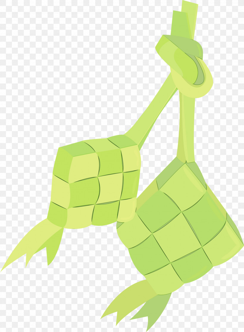 Ketupat, PNG, 2207x3000px, Ketupat, Biology, Cartoon, Diagram, Drawing Download Free