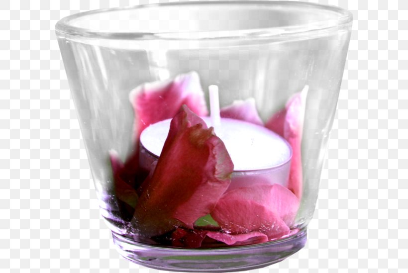 Magenta Flowerpot, PNG, 600x549px, Magenta, Flower, Flowerpot, Glass, Petal Download Free