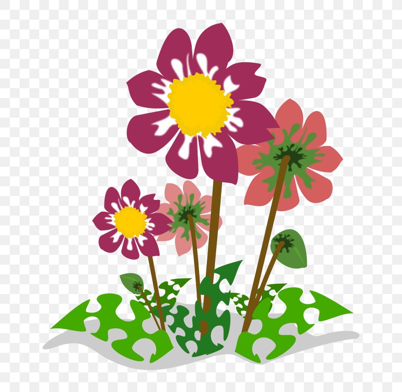 Drawing Wildflower Clip Art, PNG, 800x800px, Drawing, Artwork, Chrysanths, Cut Flowers, Daisy Download Free