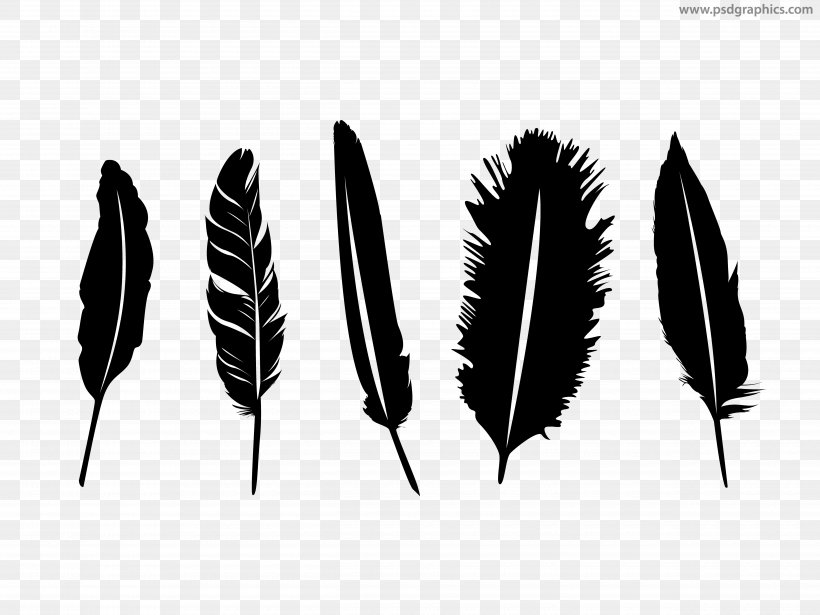 Feather Quill Silhouette, PNG, 5000x3750px, Feather, Black And White, Leaf, Logo, Monochrome Download Free