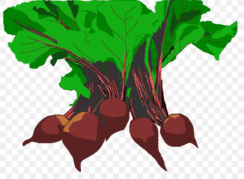 Beetroot Free Content Clip Art, PNG, 800x600px, Beetroot, Branch, Common Beet, Fictional Character, Flora Download Free