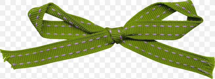 Clothing Accessories Ribbon Bow Tie Fashion, PNG, 1600x593px, Clothing Accessories, Bow Tie, Fashion, Fashion Accessory, Green Download Free