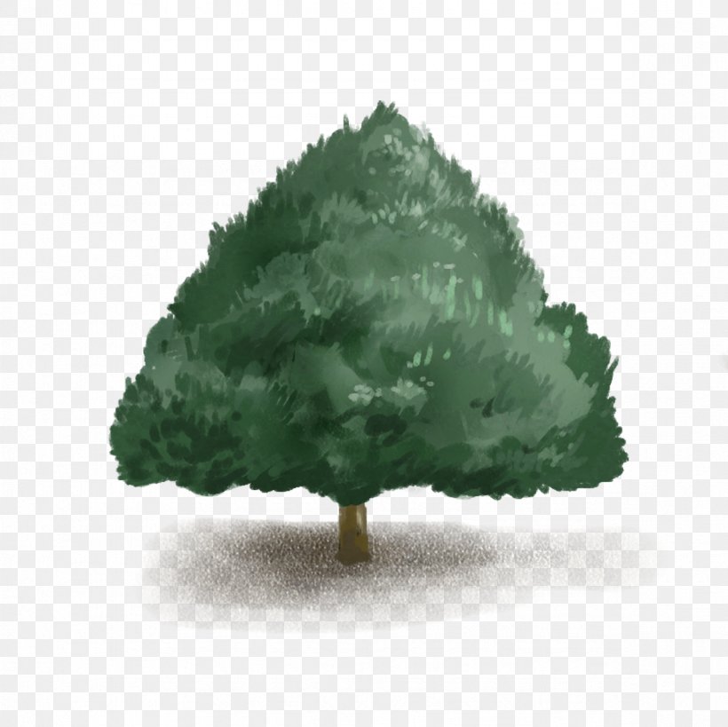 Green Tree Google Images Computer File, PNG, 1181x1181px, Green, Backpacker Hostel, Conifer, Google Images, Grass Download Free