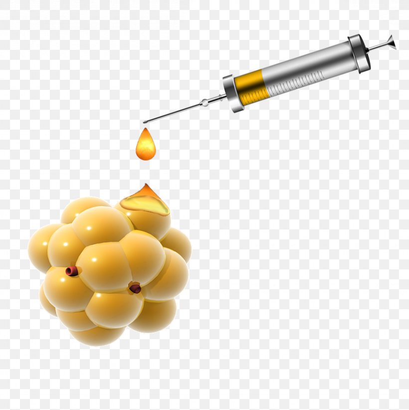 Injection Lipolysis Syringe Adipose Tissue Fat, PNG, 871x874px, Lipolysis, Adipose Tissue, Brown Adipose Tissue, Cream, Doctor Download Free