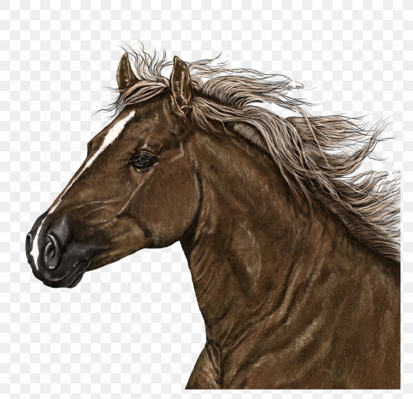 American Paint Horse Mustang Mane Stallion Drawing, PNG, 1280x1236px, American Paint Horse, Art, Bit, Bridle, Drawing Download Free