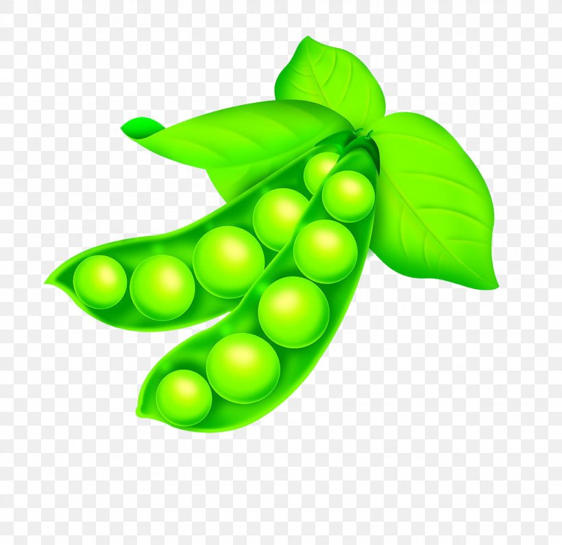 Common Bean Pea Lima Bean, PNG, 1024x992px, Common Bean, Bean, Food, Fruit, Green Download Free