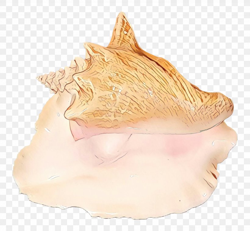 Trumpet Conch, PNG, 3000x2780px, Trumpet, Beige, Bivalve, Conch, Jaw Download Free