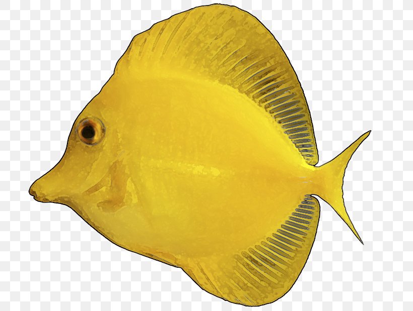 Yellow Tang Tropical Fish Clip Art, PNG, 750x619px, Yellow Tang, Beak, Drawing, Fauna, Fish Download Free