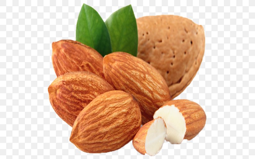 Almond Carrier Oil Food Nut, PNG, 512x512px, Almond, Carrier Oil, Commodity, Dried Fruit, Fat Download Free