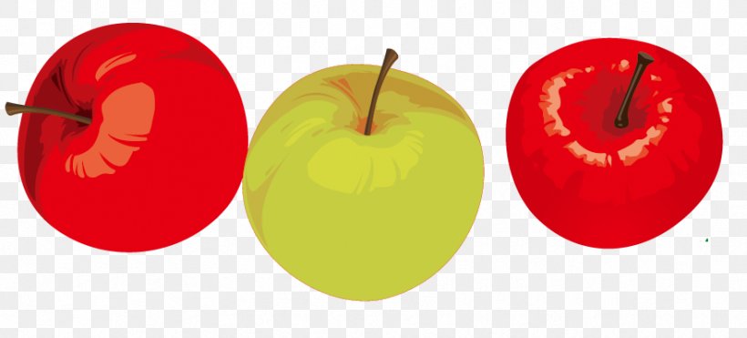 Apple Auglis Euclidean Vector Clip Art, PNG, 882x400px, Apple, Apples, Auglis, Cartoon, Digital Image Download Free