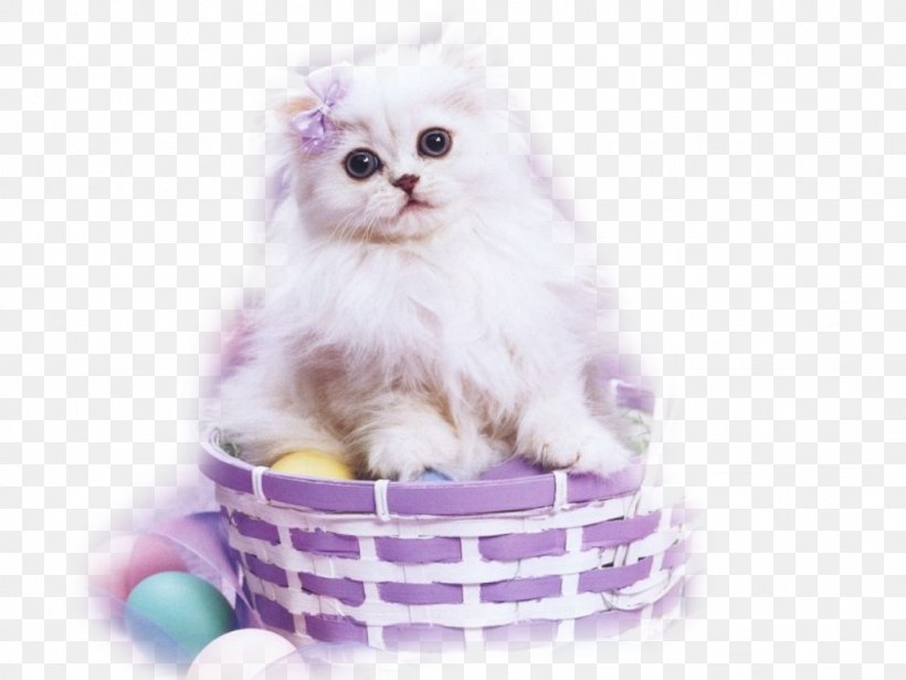 Easter Cat Kitten Easter Bunny, PNG, 1024x768px, Cat, Animal, Black Cat, Carnivoran, Cat Like Mammal Download Free