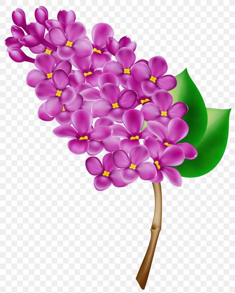 Flower Purple Lilac Lilac Violet, PNG, 2403x3000px, Watercolor, Cut Flowers, Flower, Lilac, Magenta Download Free