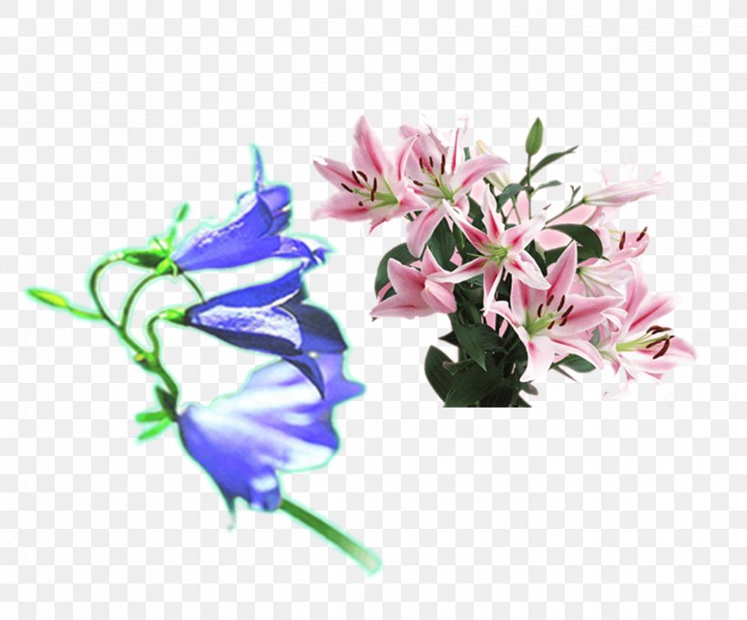 Flower Purple Lilium Pink, PNG, 2480x2057px, Flower, Bellflower Family, Blue, Cut Flowers, Flora Download Free