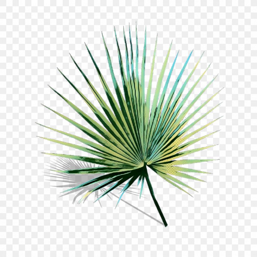 Palm Tree Background, PNG, 1000x1000px, Pop Art, Arecales, Flower, Georgia Pine, Grass Download Free