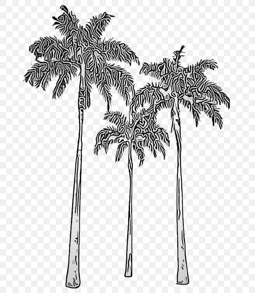 Palm Tree, PNG, 700x940px, Tree, Arecales, Blackandwhite, Elaeis, Leaf Download Free