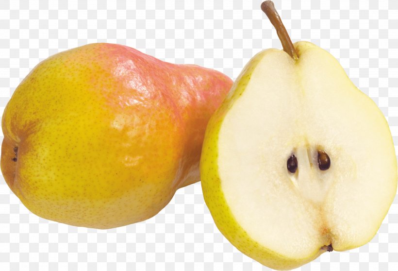 Pear Fruit Pome, PNG, 3635x2474px, Pear, Accessory Fruit, Apple, Auglis, Depositfiles Download Free