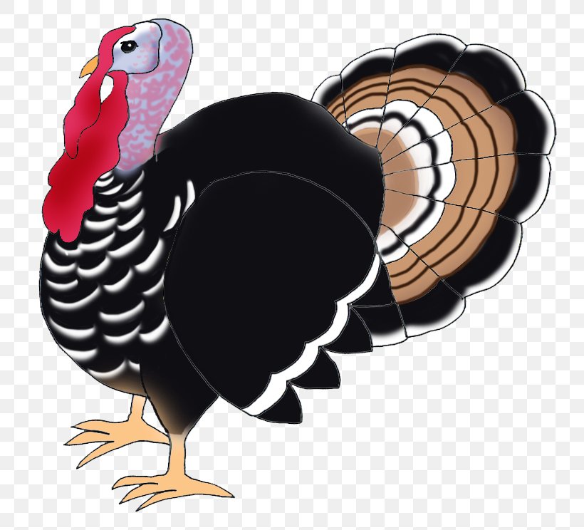 Narragansett Turkey Black Turkey Bird Drawing Clip Art, PNG, 805x744px, Narragansett Turkey, Beak, Bird, Black Turkey, Chicken Download Free