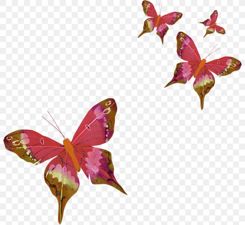 Butterfly Three-letter Acronym Clip Art, PNG, 800x752px, Butterfly, Animation, Arthropod, Brush Footed Butterfly, Butterflies And Moths Download Free