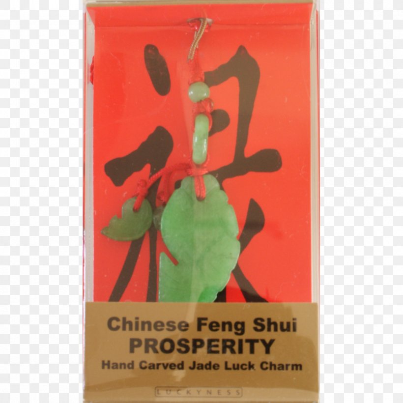 New Age Feng Shui Spirituality Happiness Luck, PNG, 1000x1000px, New Age, Brand, Confidence, Feng Shui, Good Luck Charm Download Free