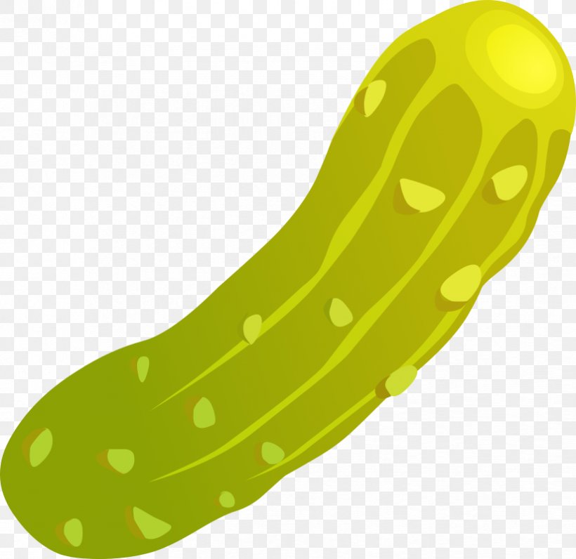 Pickled Cucumber Color Pickle Dill Jar Clip Art, PNG, 824x800px, Pickled Cucumber, Art, Color Pickle, Commodity, Cucumber Download Free