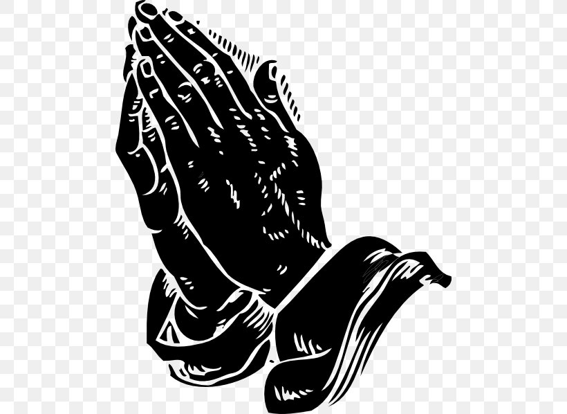 Bible Study Praying Hands Prayer Religion, PNG, 486x598px, Bible, Art, Beak, Bible Study, Bird Download Free
