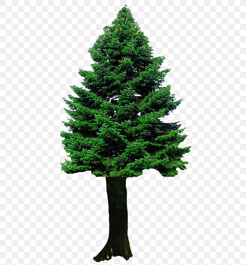 Christmas Tree Clip Art, PNG, 500x883px, 3d Computer Graphics, Christmas Tree, Biome, Christmas, Christmas Decoration Download Free