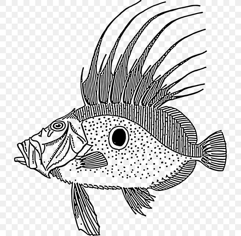 Coral Reef Fish Blue Tang Scale Clip Art, PNG, 724x800px, Fish, Art, Beak, Black And White, Blue Tang Download Free