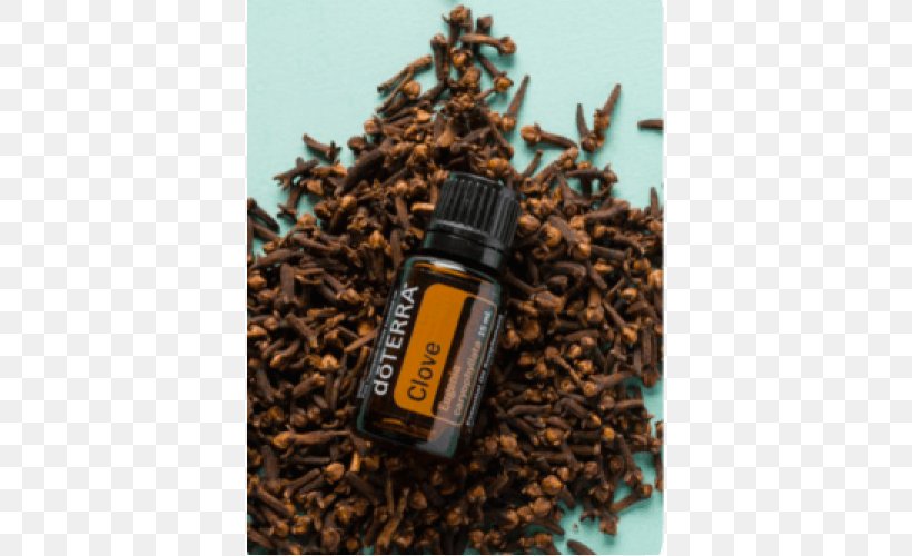 DoTerra Essential Oil Oil Of Clove, PNG, 500x500px, Doterra, Aroma Compound, Chinese Cinnamon, Cinnamon, Clary Download Free