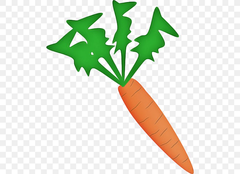 Leaf Clip Art Carrot Plant Vegetable, PNG, 504x596px, Leaf, Carrot, Plant, Vegetable Download Free
